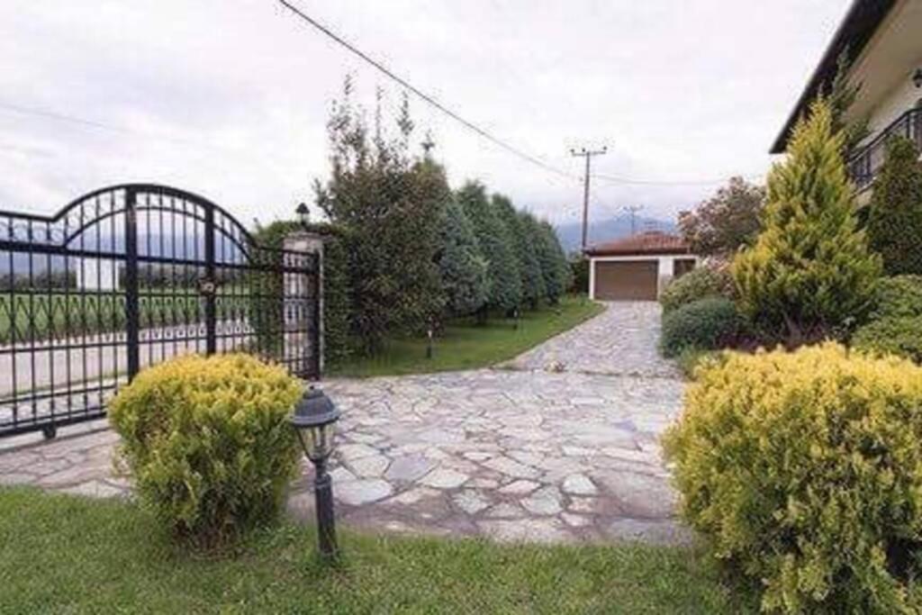 Olympus Leptokaria'S Luxurious Villa Leptokarya (Pieria) Exterior foto
